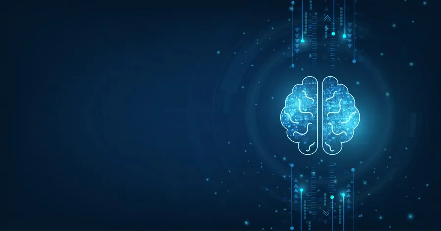human brain shape